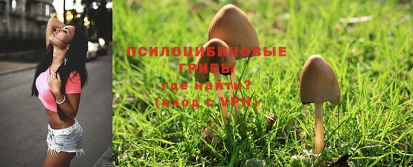 jwh Богданович