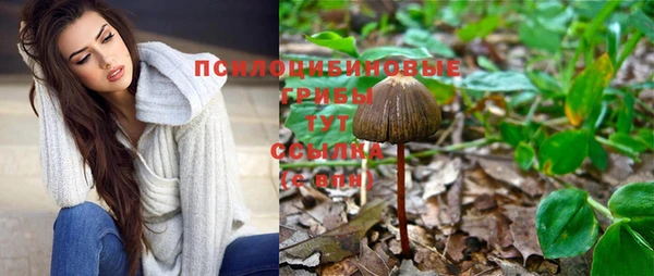 круглые Богородицк