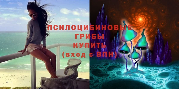 круглые Богородицк