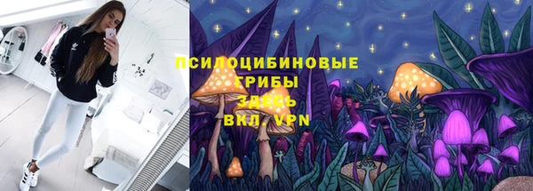 круглые Богородицк