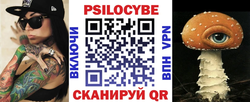 купить Ессентукская Галлюциногенные грибы Cubensis